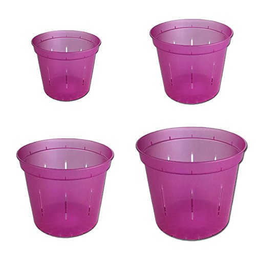 4 inch and 5 inch Clear Plastic Pots for Orchids Assortment of 3 inch 6/pk