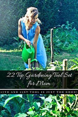 top gardening tool set for mom-article-image
