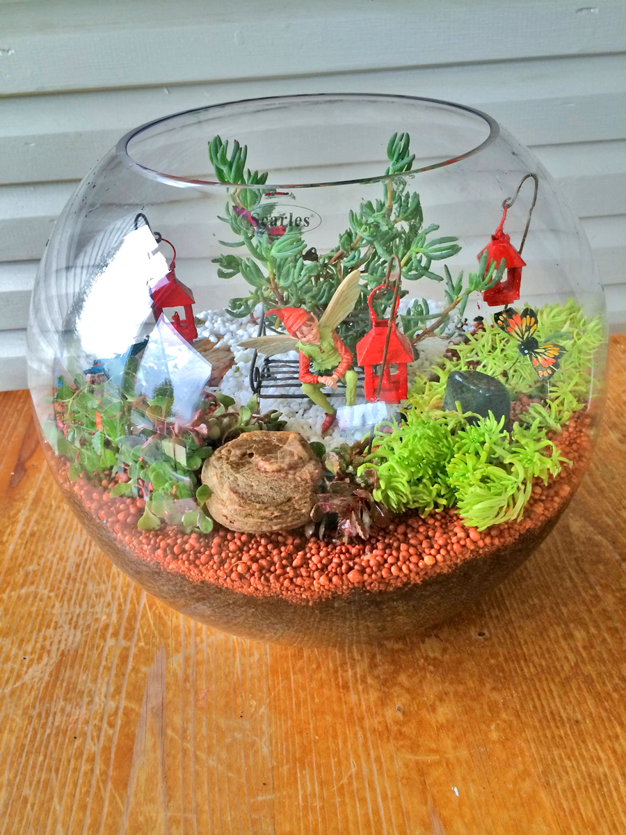 Where To Buy Terrarium Container: Best Price Finds