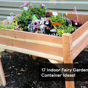 17 Indoor Fairy Garden Container Ideas