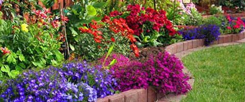 Flower Bed Ideas For Front Of House - Front Planter Bed Ideas